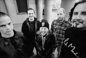 Mr Bungle