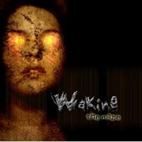 Waking - The Maze (2004)