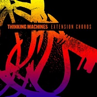 Thinking Machines - Extension Chords (2012)