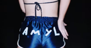 Amyl And The Sniffers