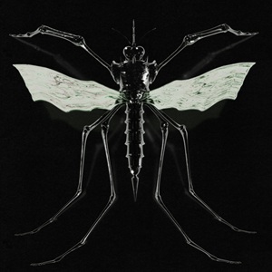 Wax Head - GNAT (2026)